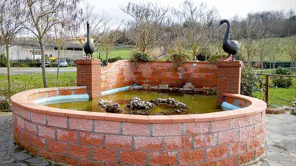 Black Swan's Fountain