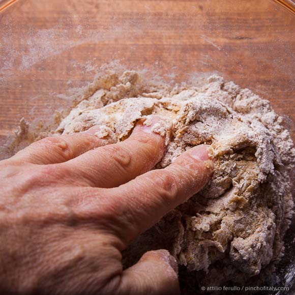 Whole Wheat Fresh Pasta Dough